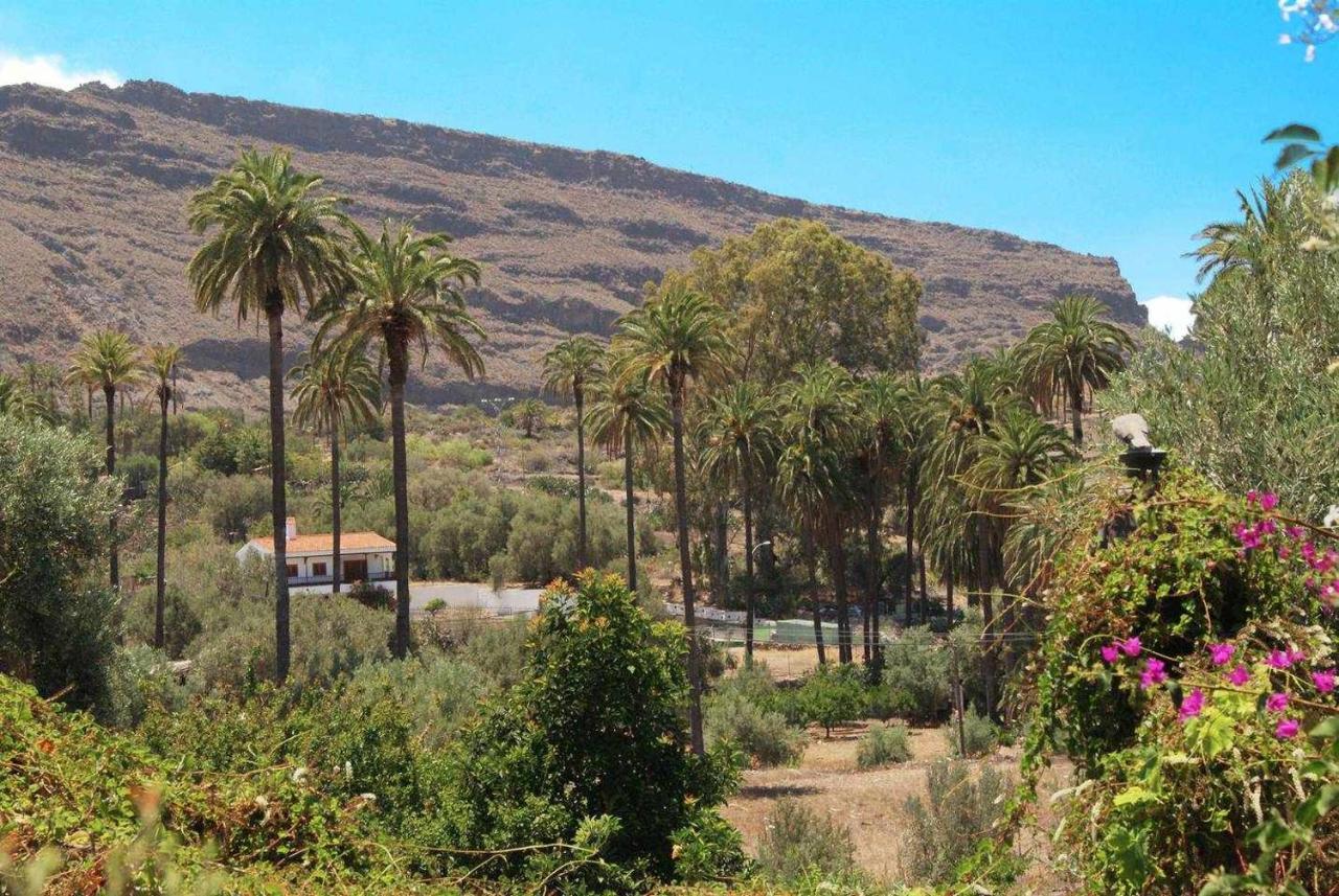 Casa Rural El Olivar La Almazara Santa Lucia Eksteriør bilde