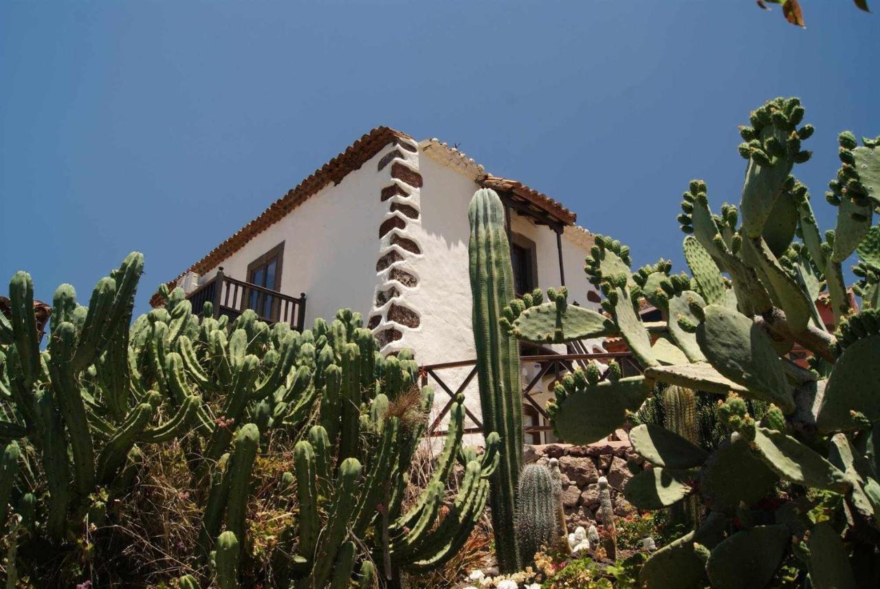 Casa Rural El Olivar La Almazara Santa Lucia Eksteriør bilde